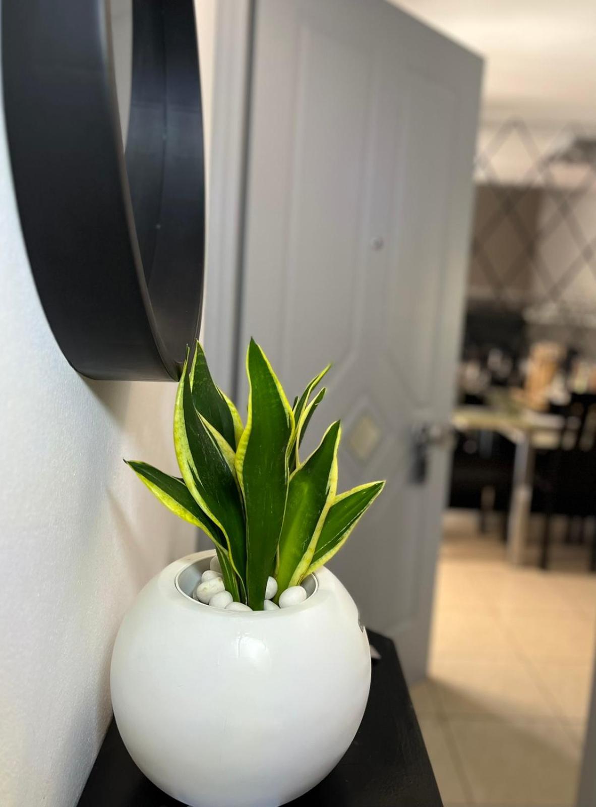 Diamond City Lux Apartment Argostoli  Ngoại thất bức ảnh