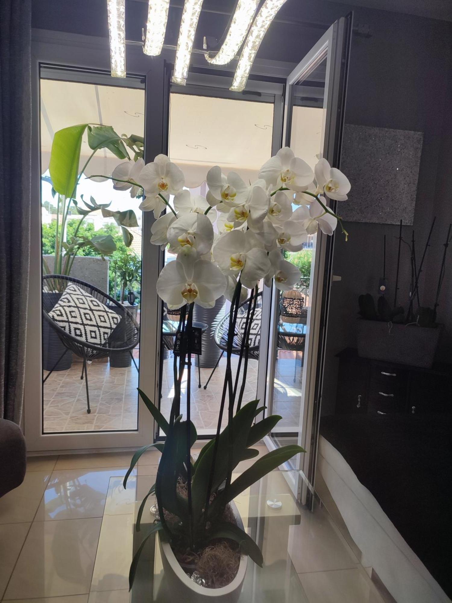 Diamond City Lux Apartment Argostoli  Ngoại thất bức ảnh